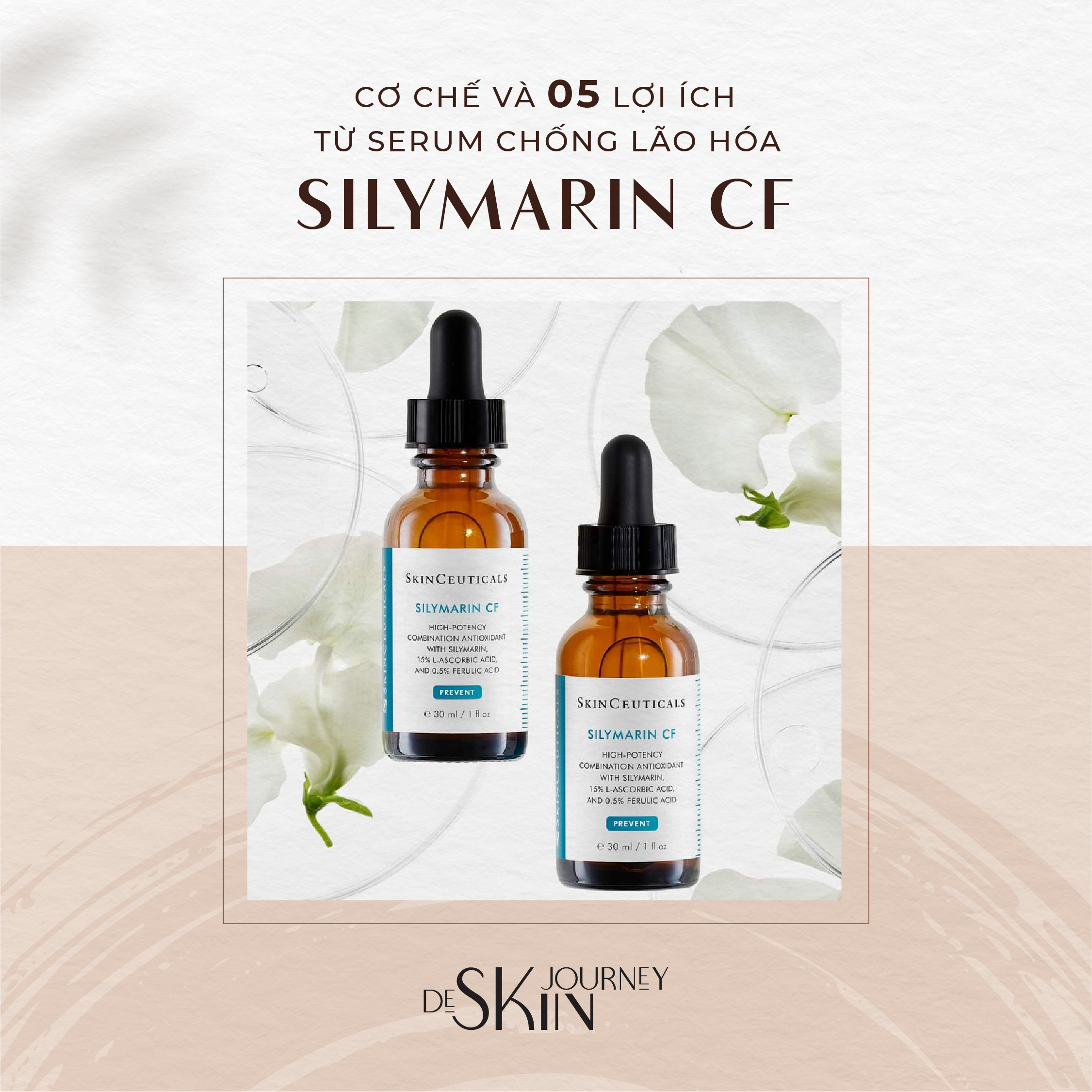De Skin Journey: Brand Renewal & Freelance Projects