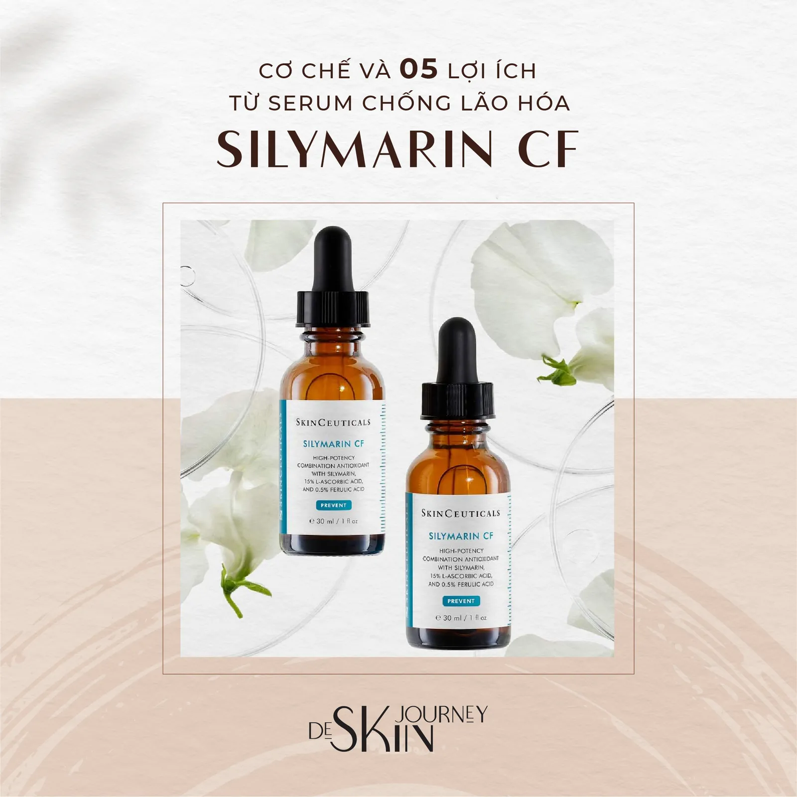 De Skin Journey: Brand Renewal & Freelance Projects