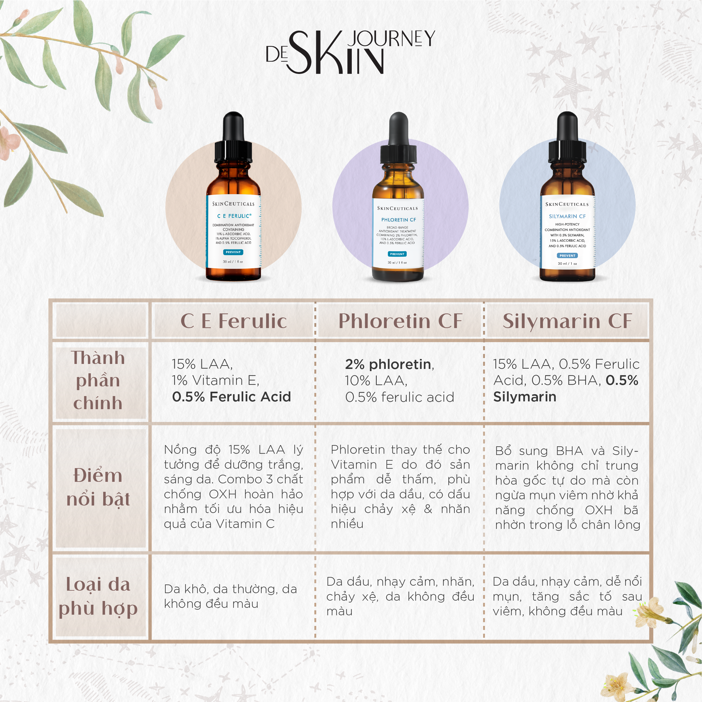 De Skin Journey: Brand Renewal & Freelance Projects