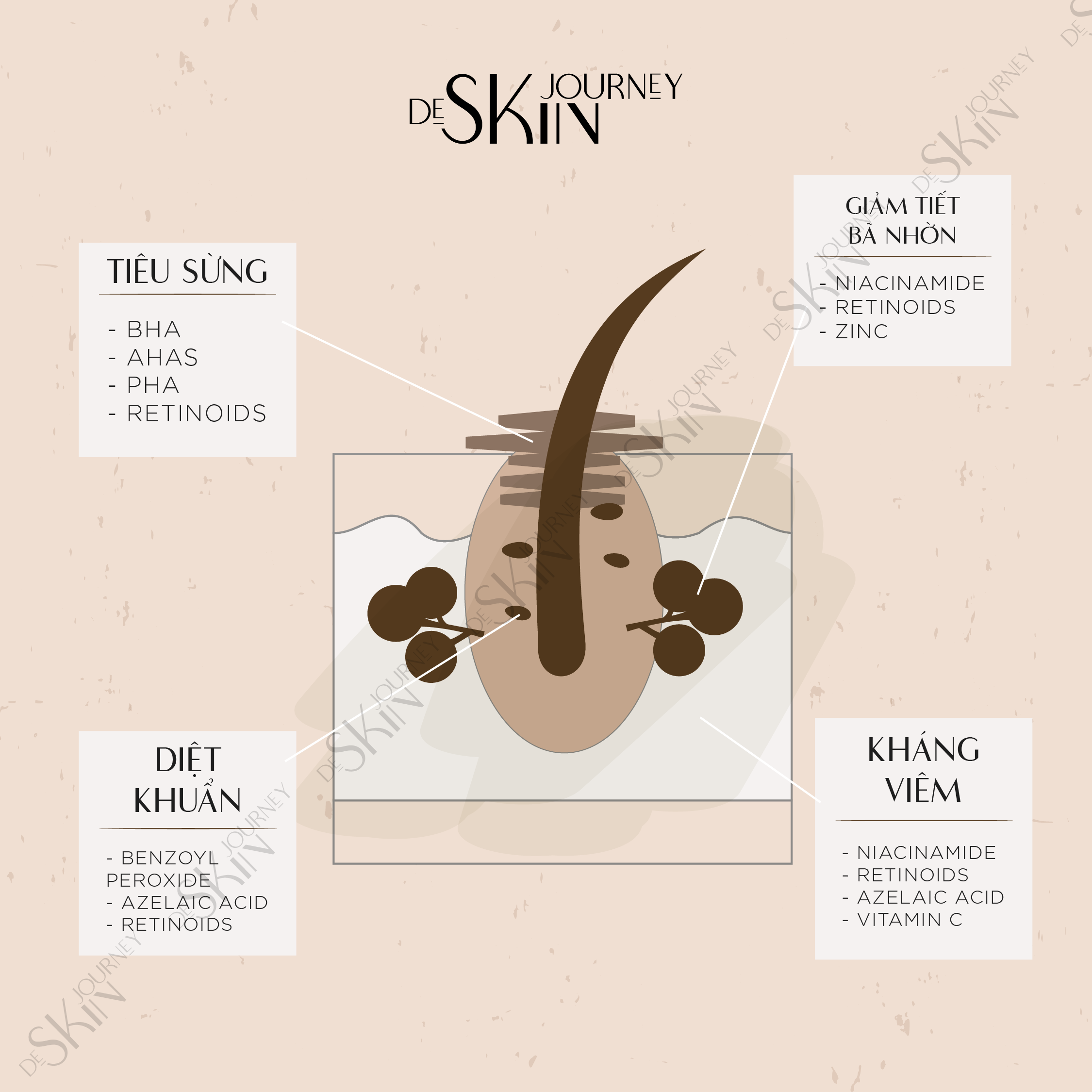 De Skin Journey: Brand Renewal & Freelance Projects