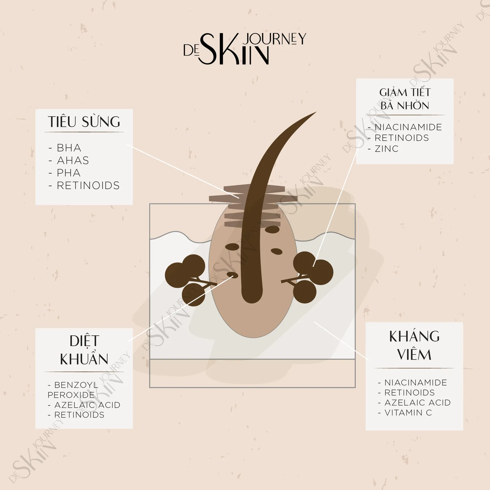 De Skin Journey: Brand Renewal & Freelance Projects