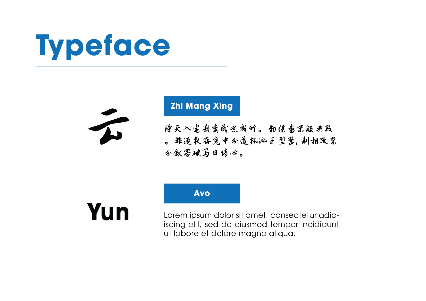云译: Logo & Brand Guidelines