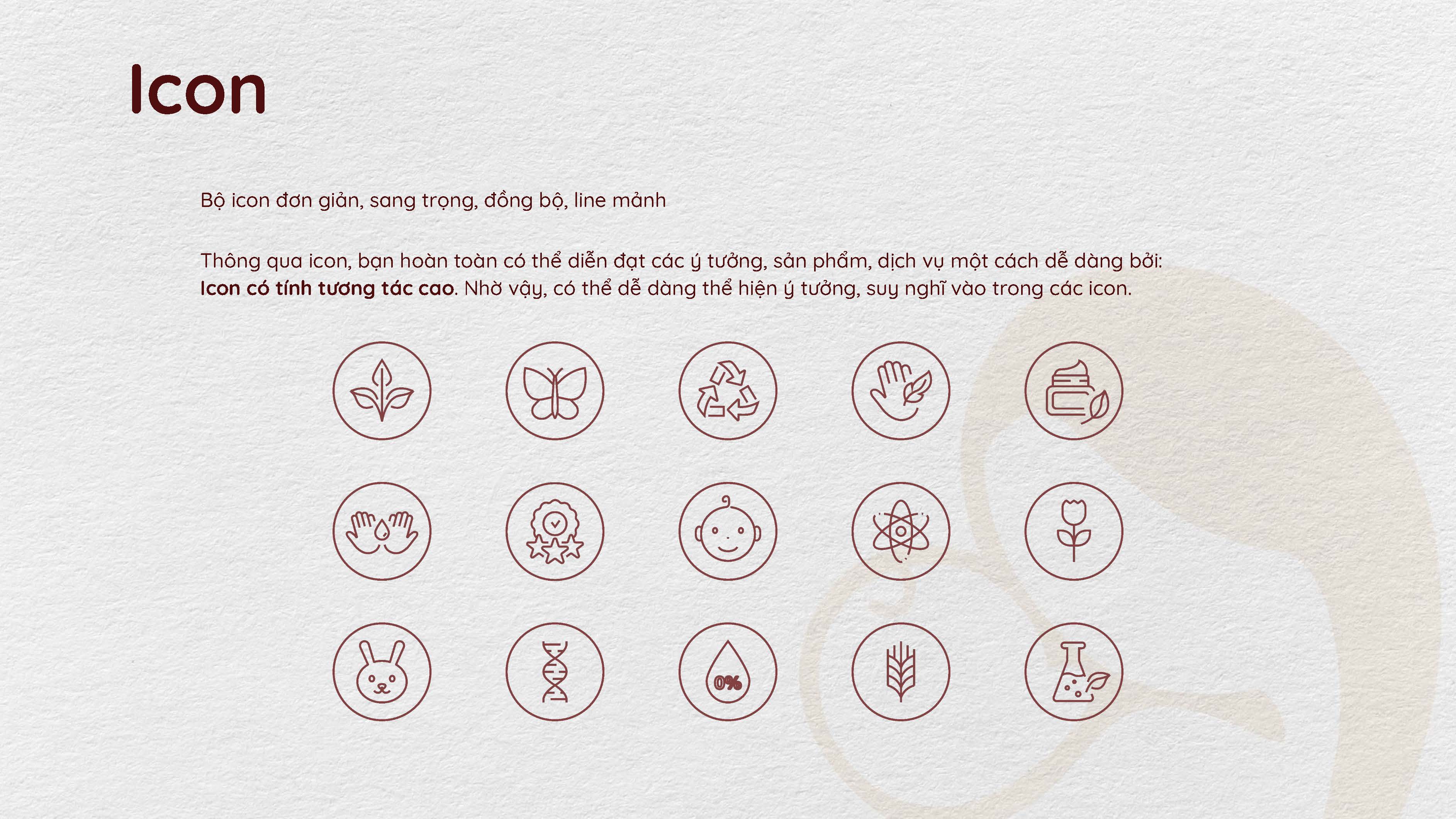 Au Oii Cosmetics | Winning Brand Identity Pitch
