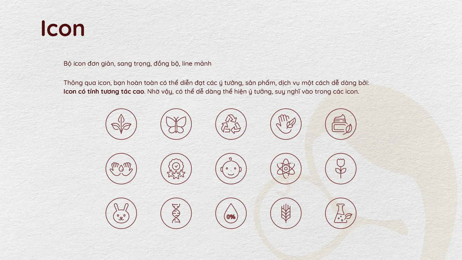 Au Oii Cosmetics: Winning Brand Identity Pitch